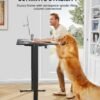 ErGear EGESD6B Electric Standing Desk Review for Home Offices ErGear EGESD6B Electric Standing Desk Review for Home Offices