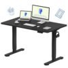 FLEXISPOT EN1 Whole-Piece Standing Desk 48 x 24 Inches Electric Height Adjustable Desk Sit Stand Desk Home Office Desks (Black Frame + Black Table Top) FLEXISPOT EN1 Whole-Piece Standing Desk 48 x 24 Inches Electric Height Adjustable Desk Sit Stand Desk Home Office Desks (Black Frame + Black Table Top)