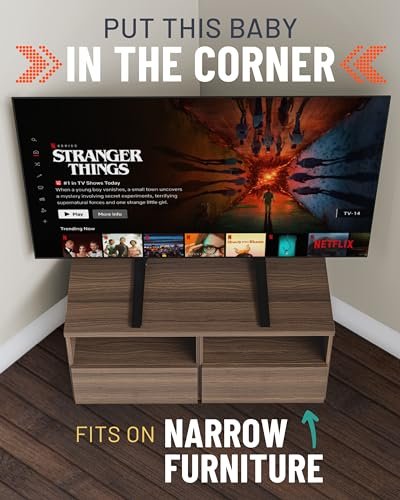 ECHOGEAR TV Legs Replacement Review Best Stable TV Mount Stand for 32 to 65 Inch TVs ECHOGEAR TV Legs Replacement Review Best Stable TV Mount Stand for 32 to 65 Inch TVs